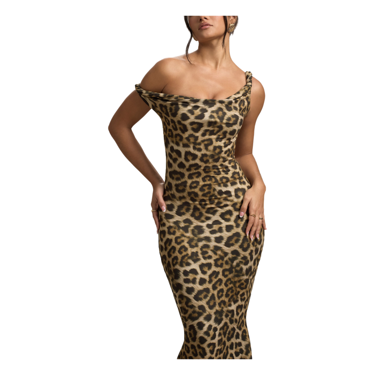 Leopard Print Dress