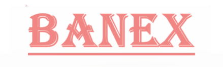 Banex Store